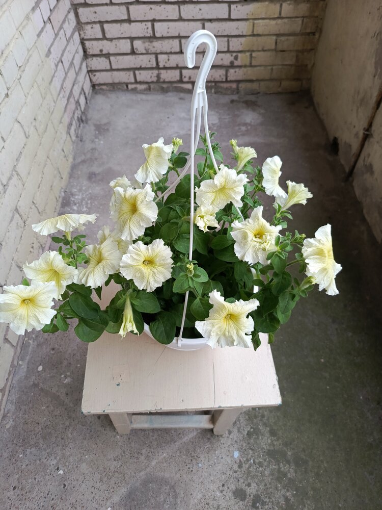 Photo #13850879