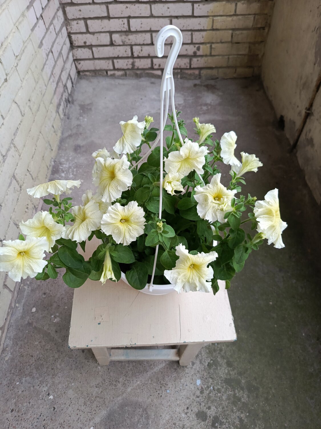 Photo #13850879