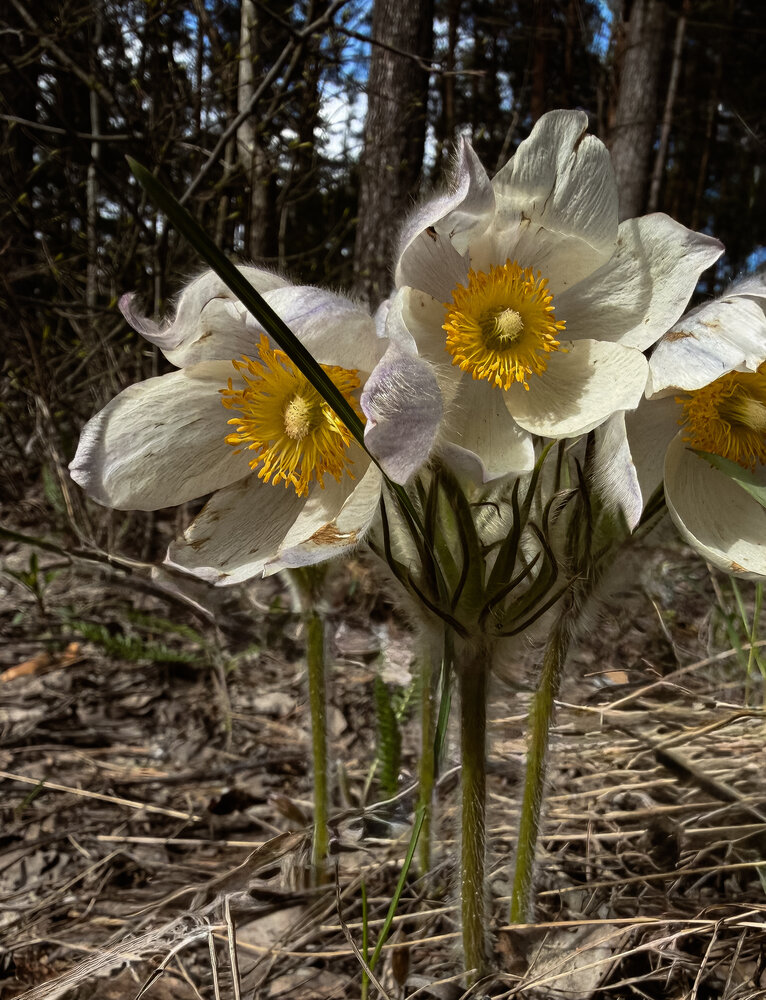 Photo #13850922
