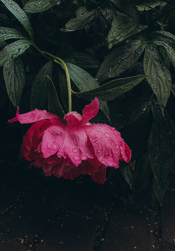Photograph by Ксения Гулькова