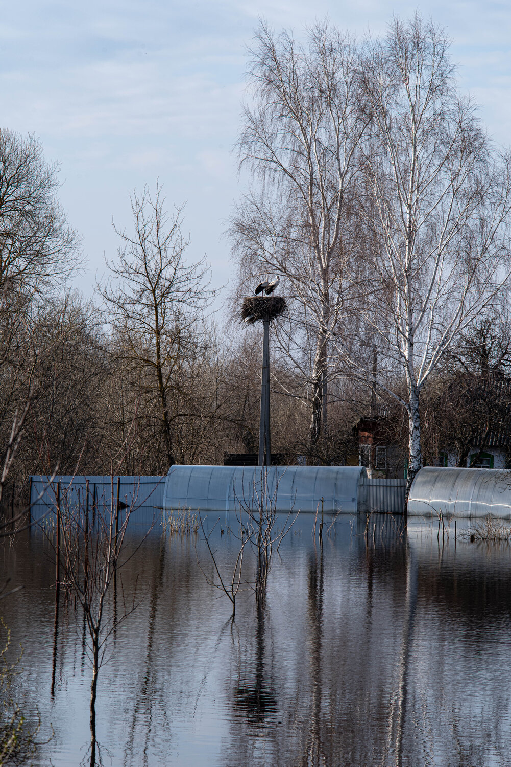 Photo #13850943