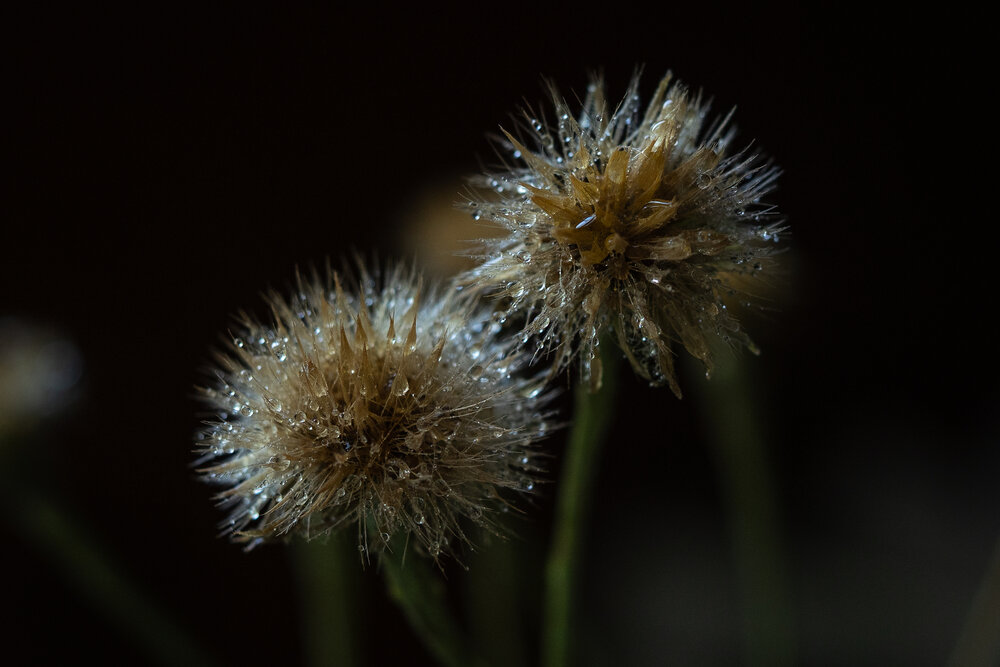 Photograph by Татьяна Эрбутаева
