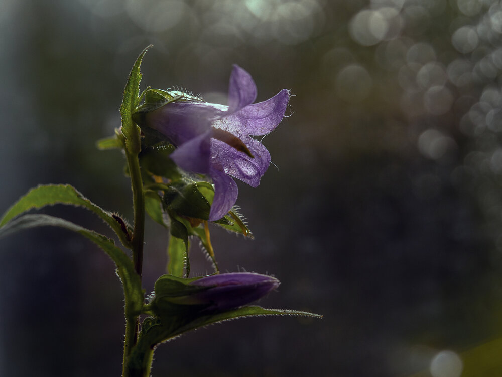Photograph by Татьяна Эрбутаева