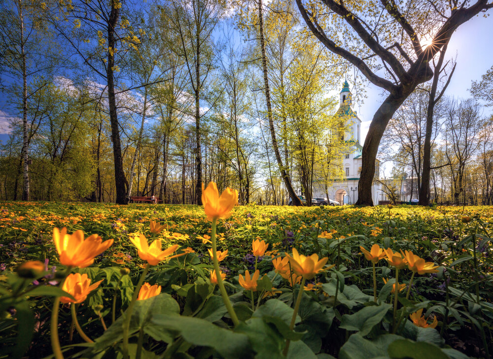 Photograph by Артём Парамонов