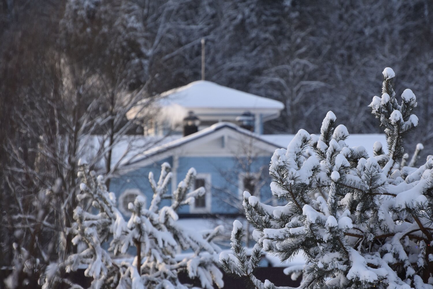 Photo #13851060