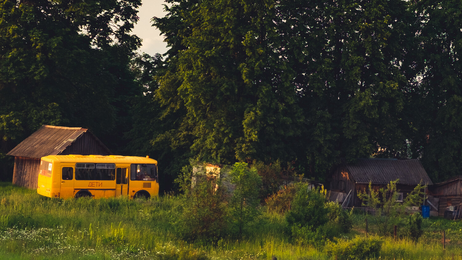 Photo #13851075