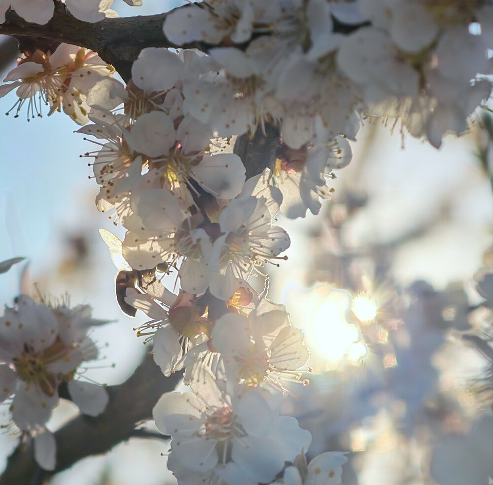 Photograph by Юрий Сычев