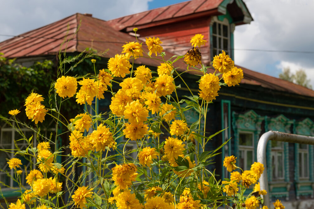 Photograph by Константин Пухов