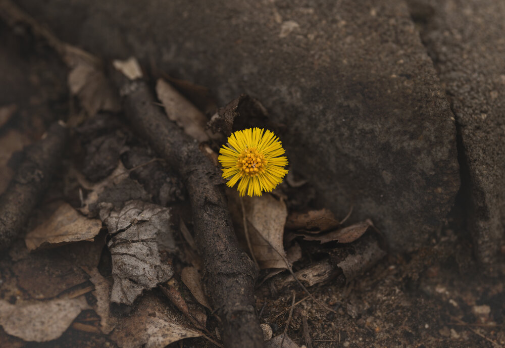 Photograph by Наталья Кирина