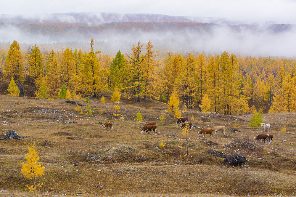 Photograph by Станислав Татарников