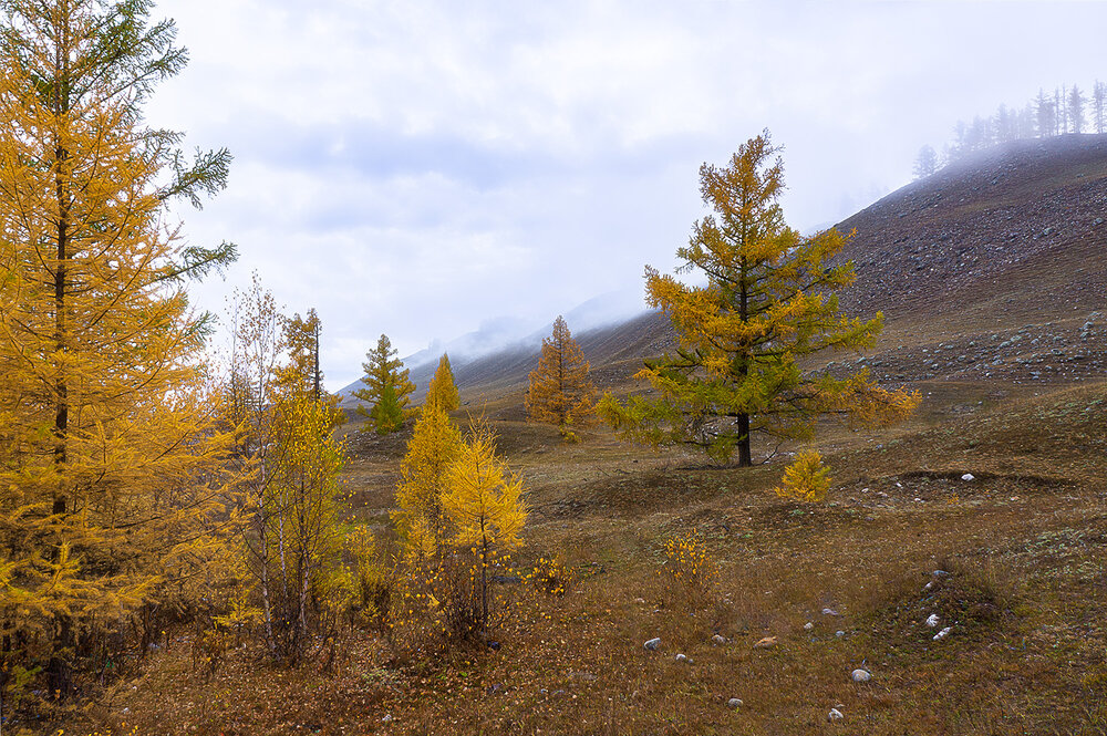 Photograph by Станислав Татарников