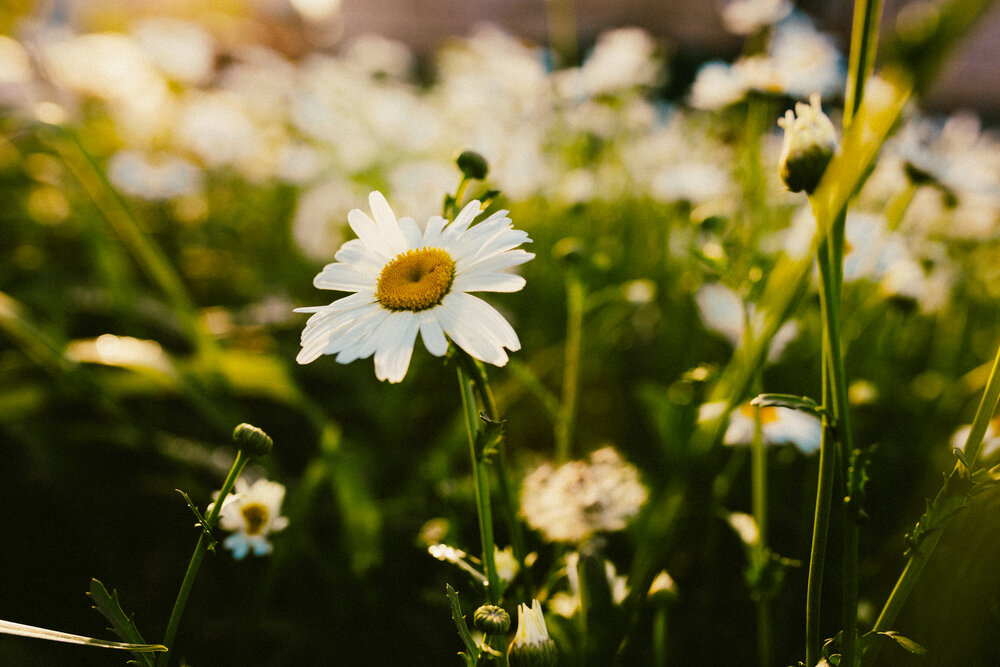 Photograph by дамир чекалин