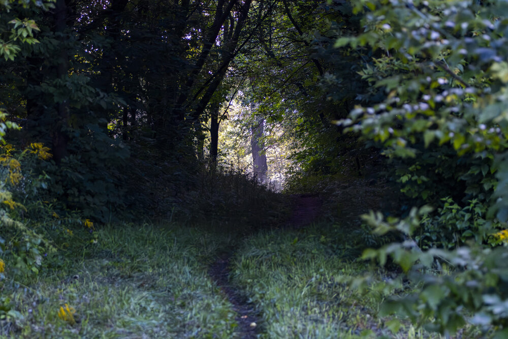 Photograph by Вениамин Подолян