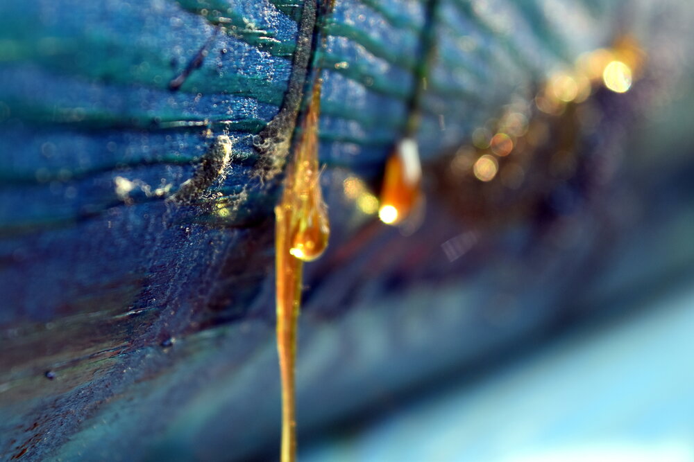 Photograph by вера