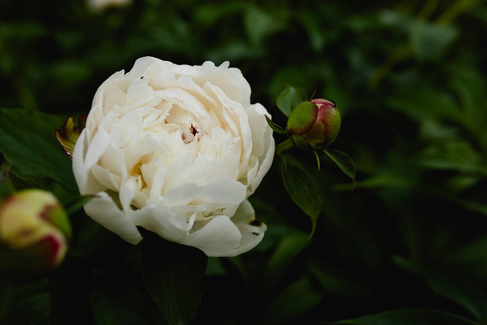Photograph by дамир чекалин