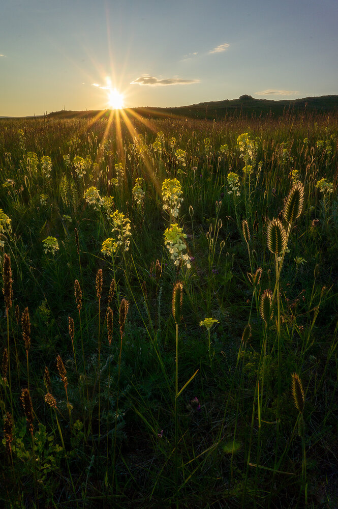 Photograph by Станислав Татарников