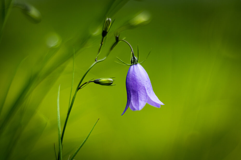 Photograph by Александр Третьяков