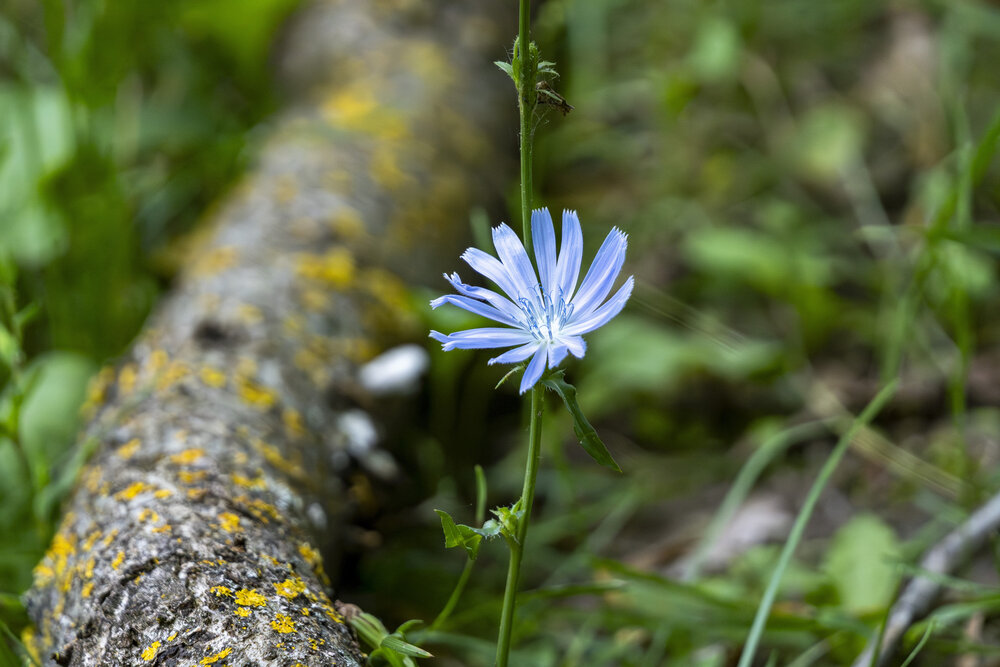 Photograph by Вениамин Подолян