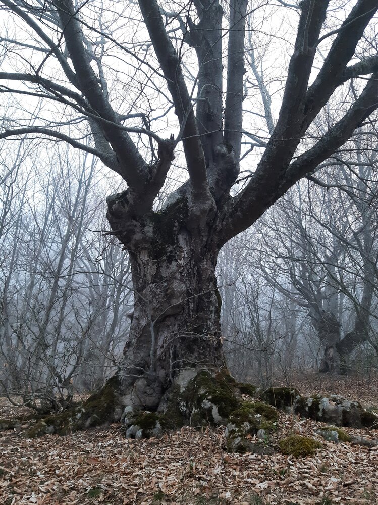 Photo #13851205
