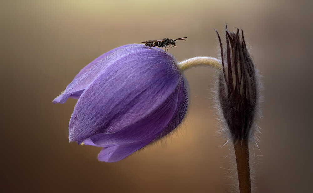 Photograph by Людмила Железнова