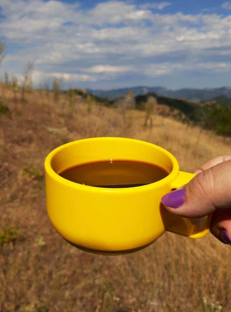Photograph by Галина Глазкова