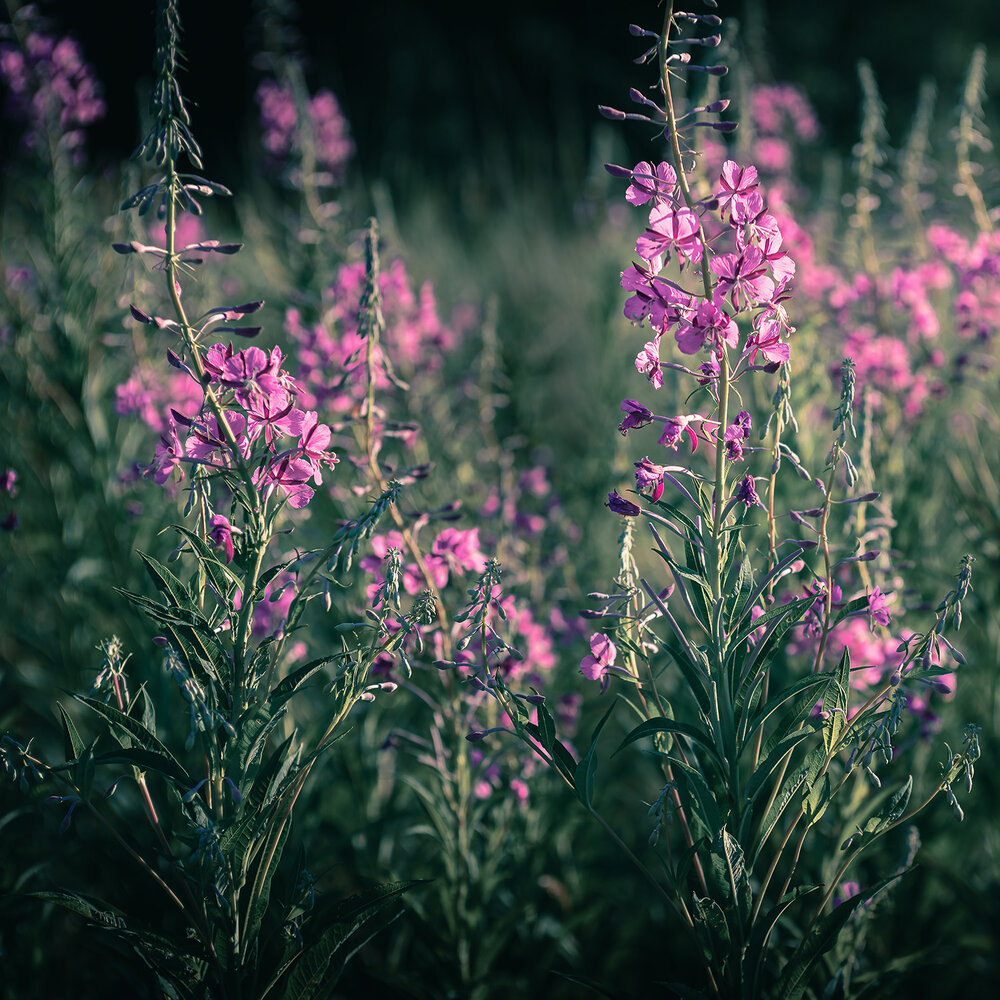 Photograph by Валерий