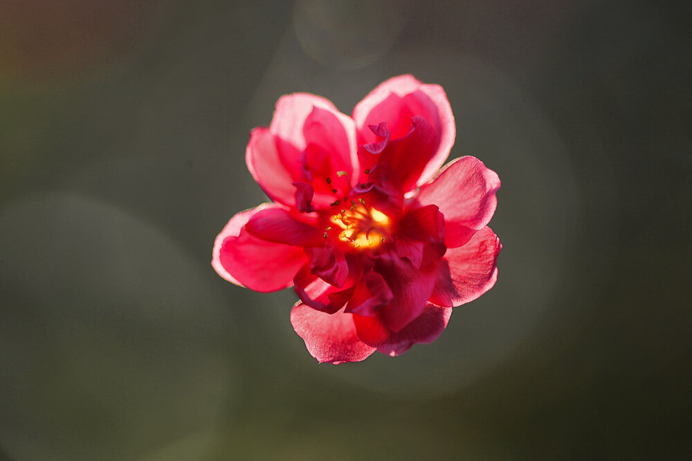 Photograph by Tung Vu Thanh