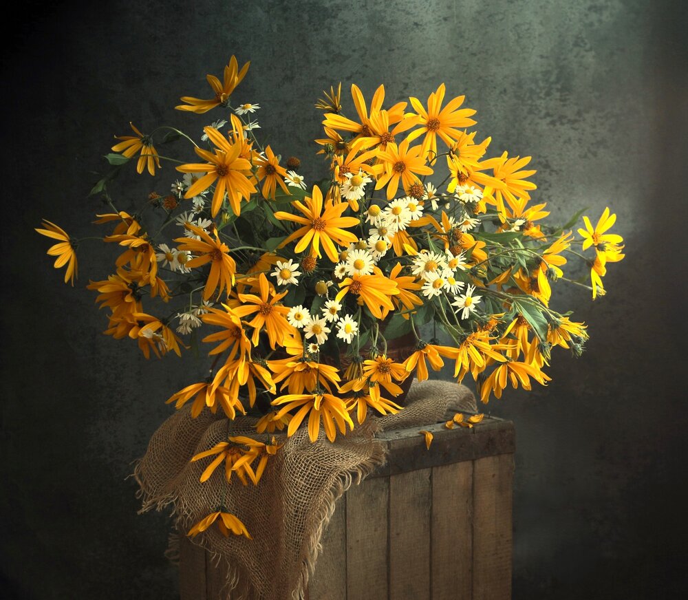 Photograph by Людмила Хрусталева*