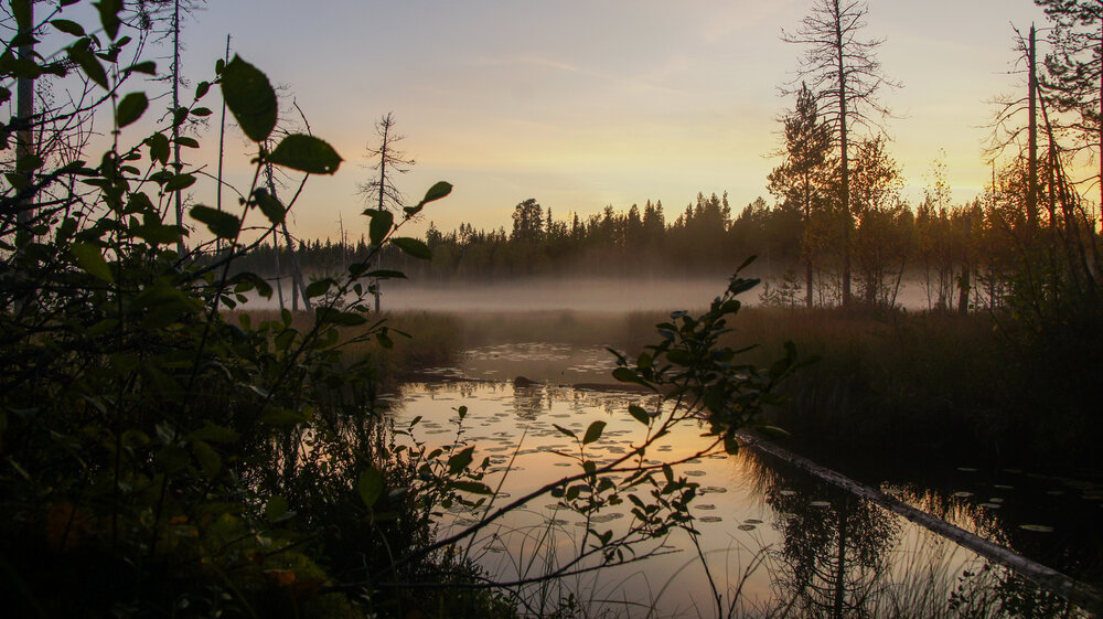 Photograph by Фролов Антон