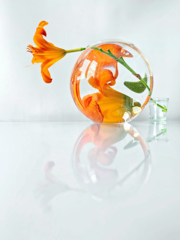 Photograph by Галина Гельфман