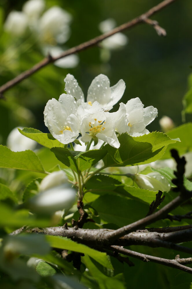 Photograph by Марина Мирошниченко