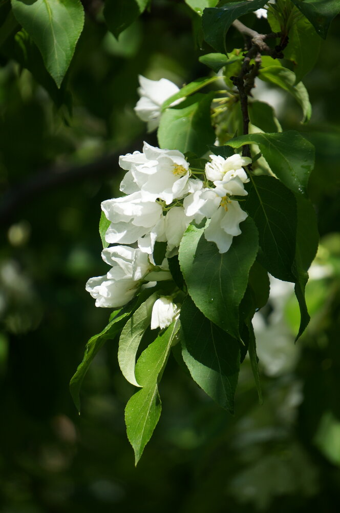 Photograph by Марина Мирошниченко