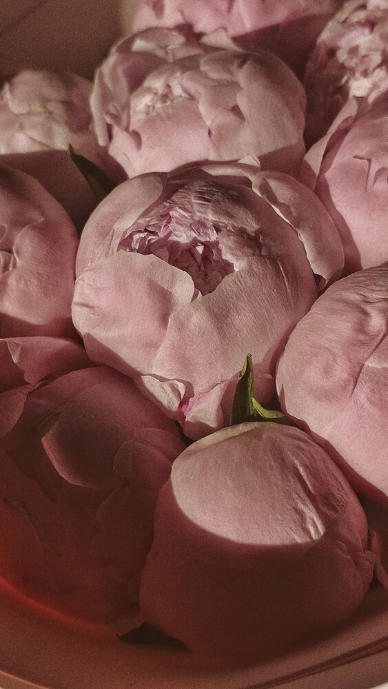 Photograph by Elina Nersesova