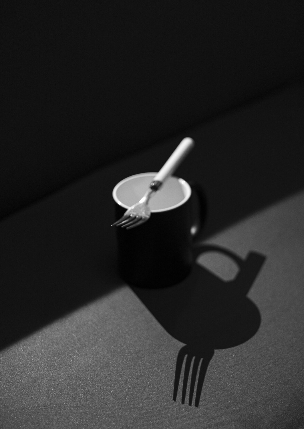 Photo #13851561