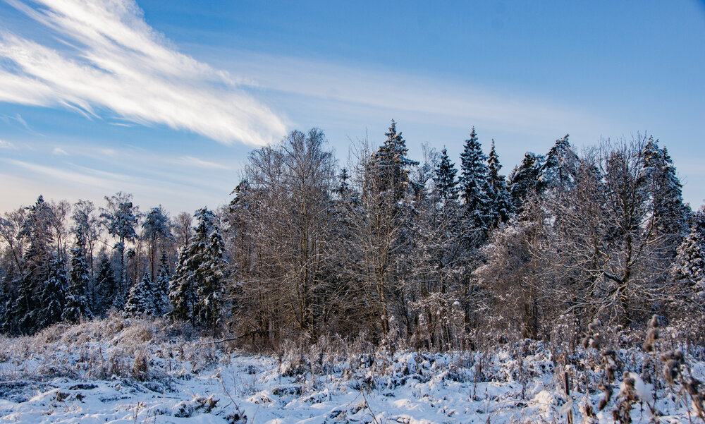 Photograph by Фролов Антон