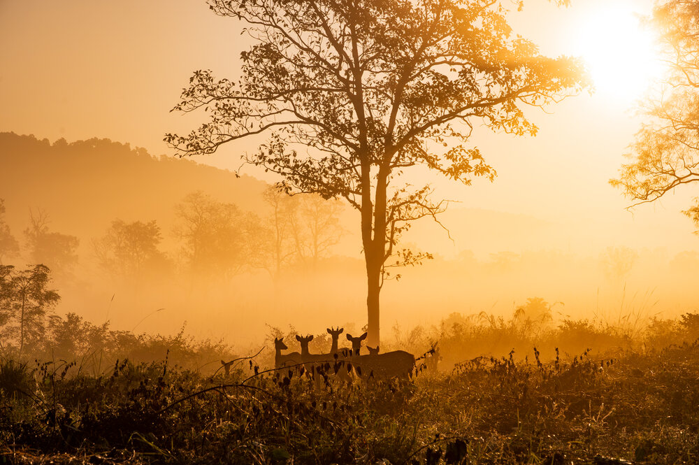 Photograph by Atul Sharma