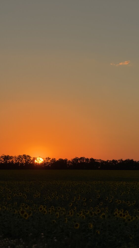 Photograph by Евгения Брагина