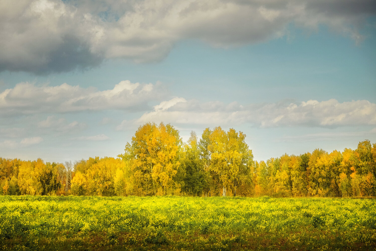Photo #13851697
