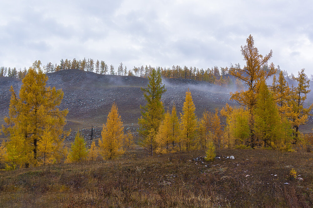 Photograph by Станислав Татарников