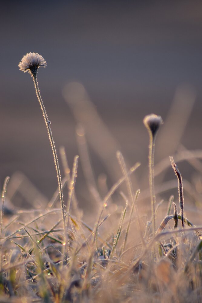 Photograph by Андрей Куракин