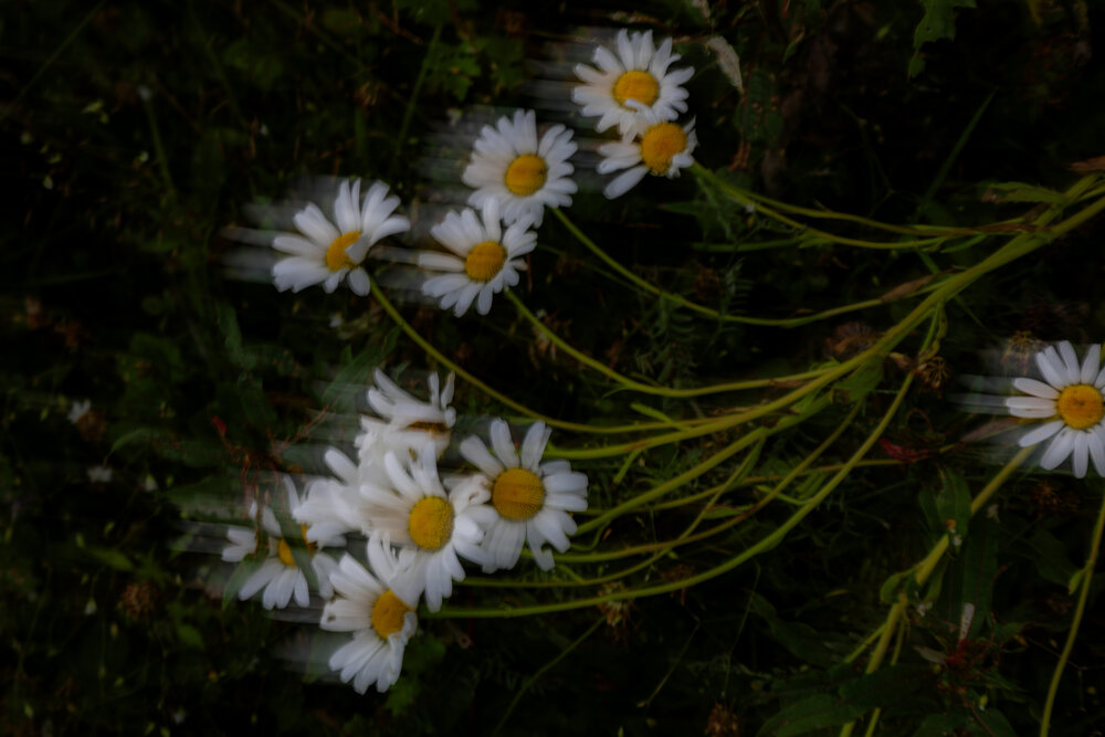 Photograph by Елена Данченко