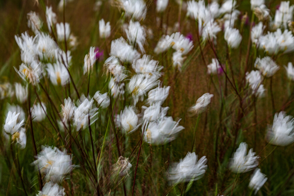 Photograph by Елена Данченко
