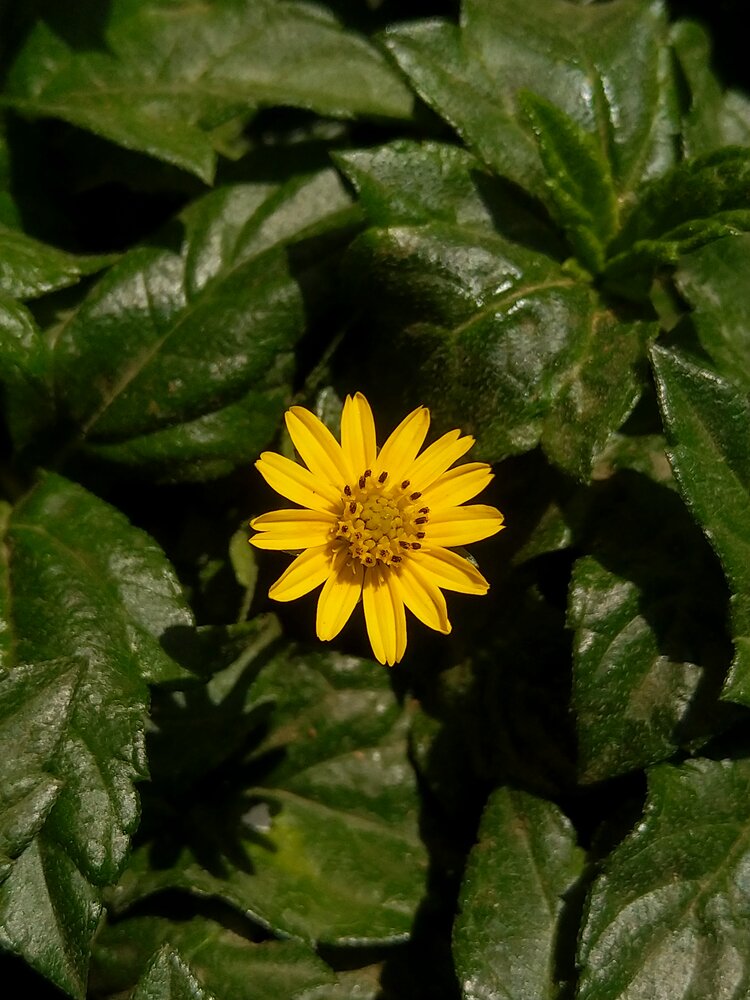 Photograph by sumit sitole