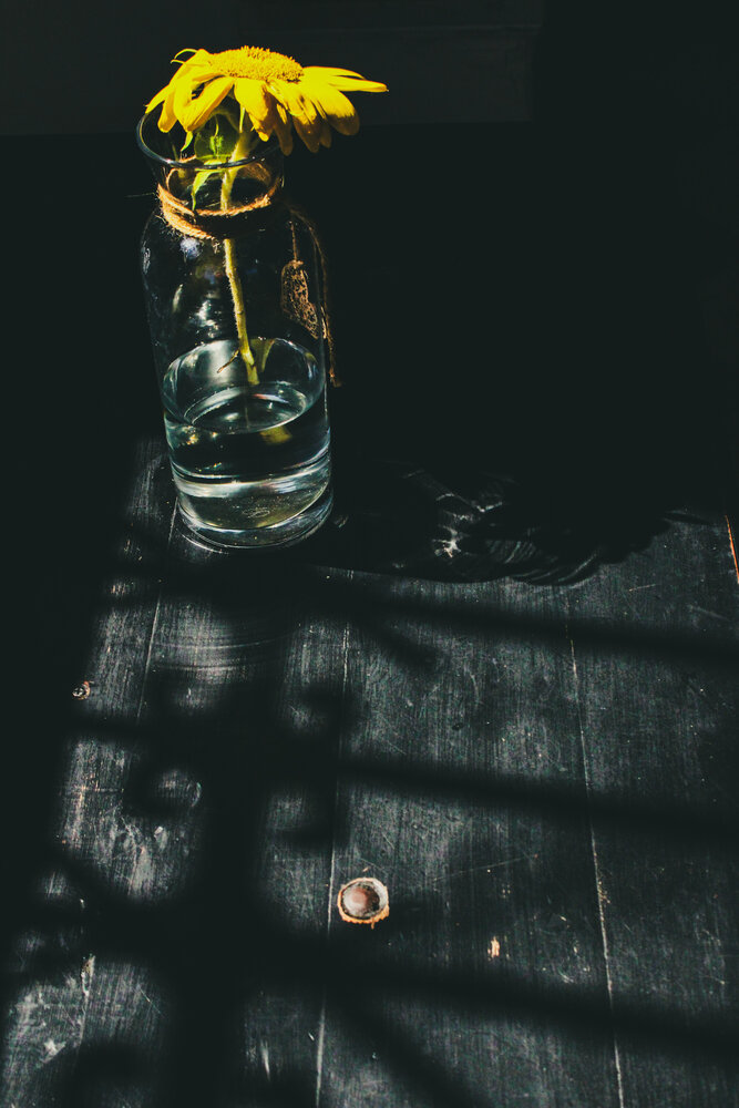 Photograph by Javier Hidalgo