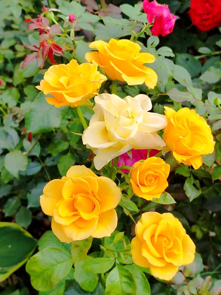 Photograph by Юлия Холомцева