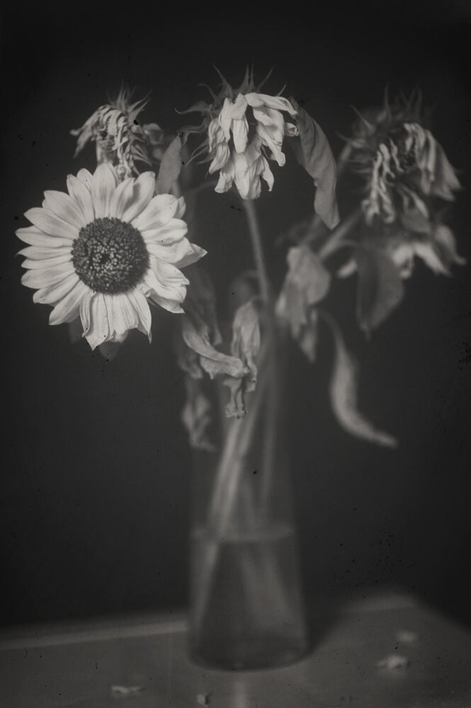 Photograph by Владимир Леликов-Кузьменко