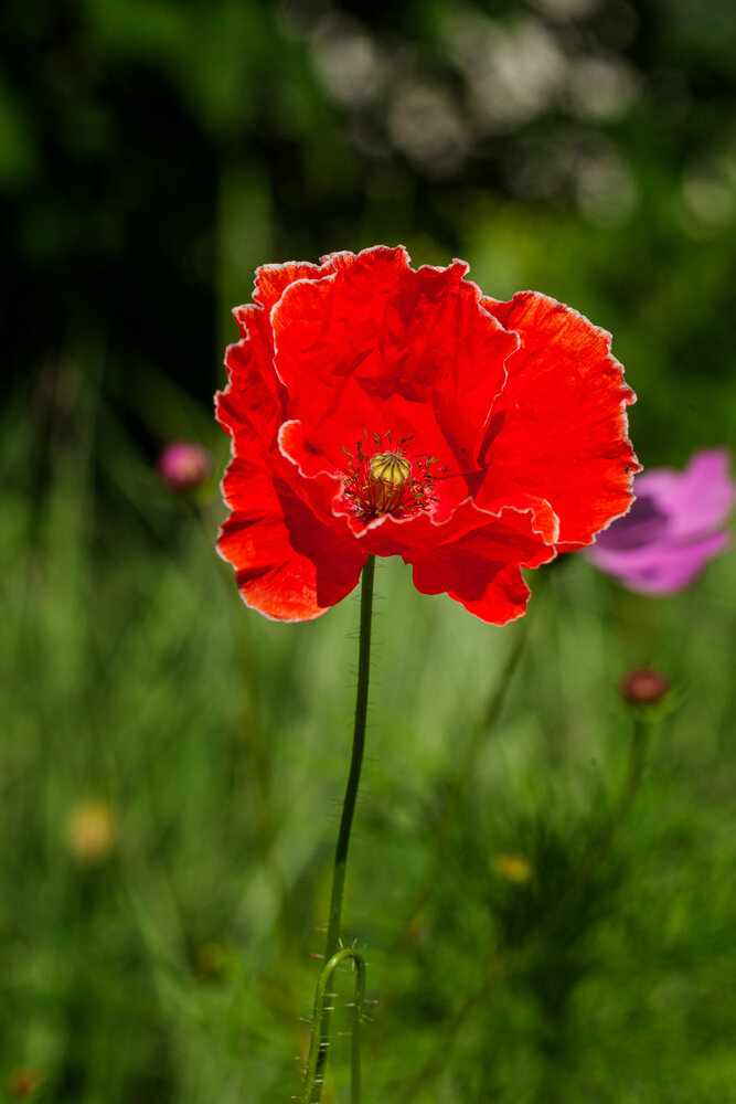 Photograph by Денис Дорошенко