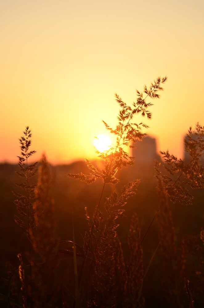 Photograph by Наталья Емашова