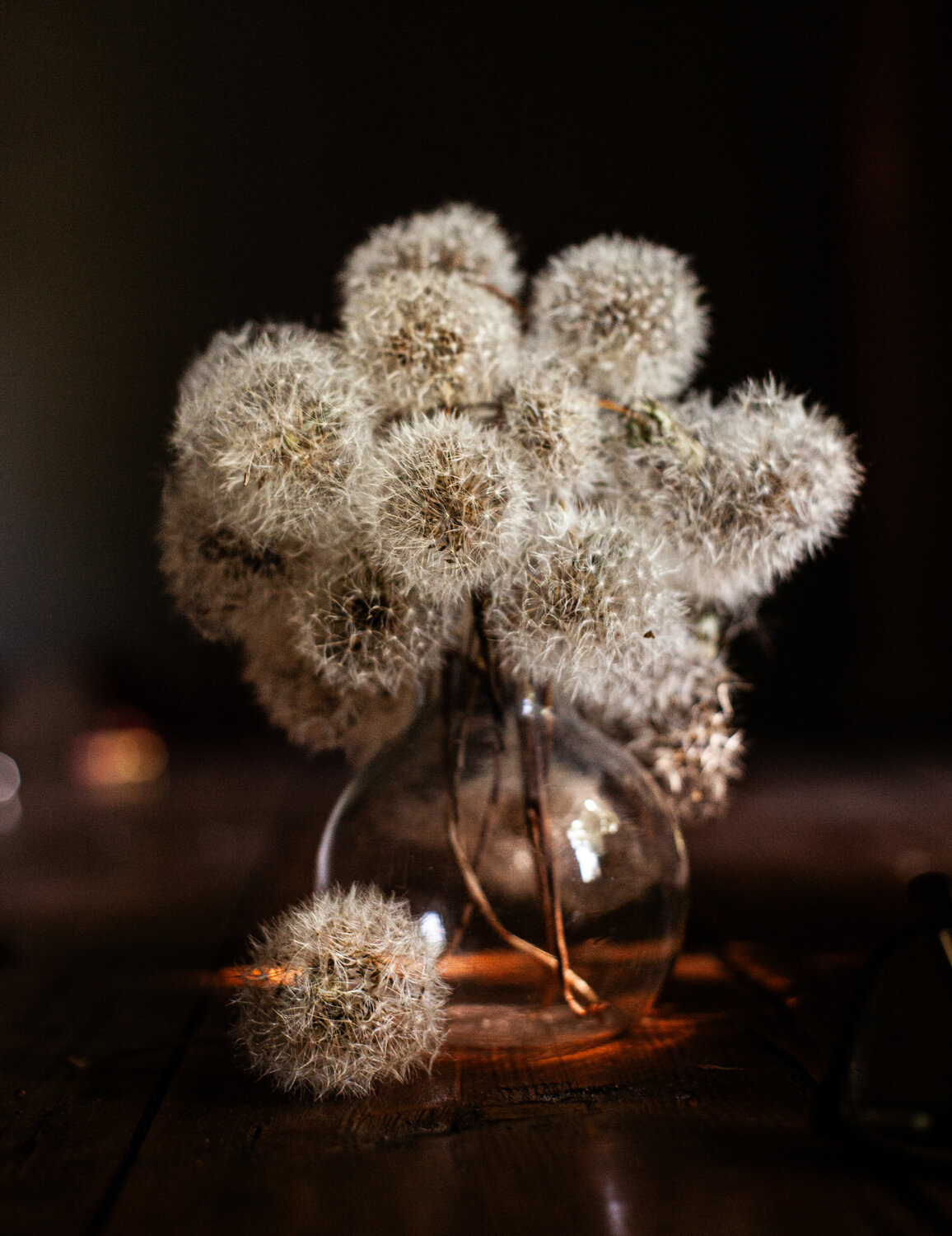 Photo #13851867