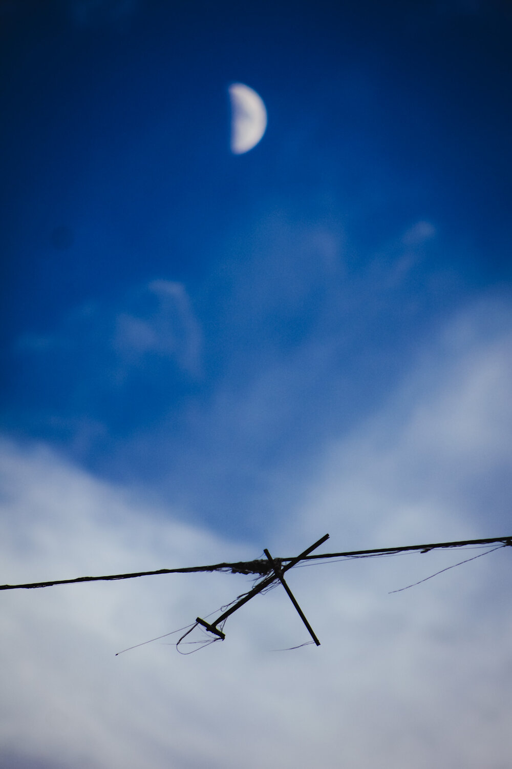 Photo #13851873